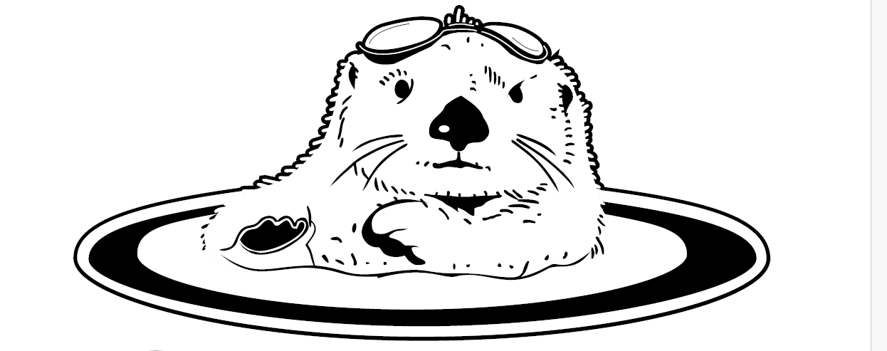 Set of Two Black Team  Caps with Swimmer Name- SeaOTT at Swim Quest